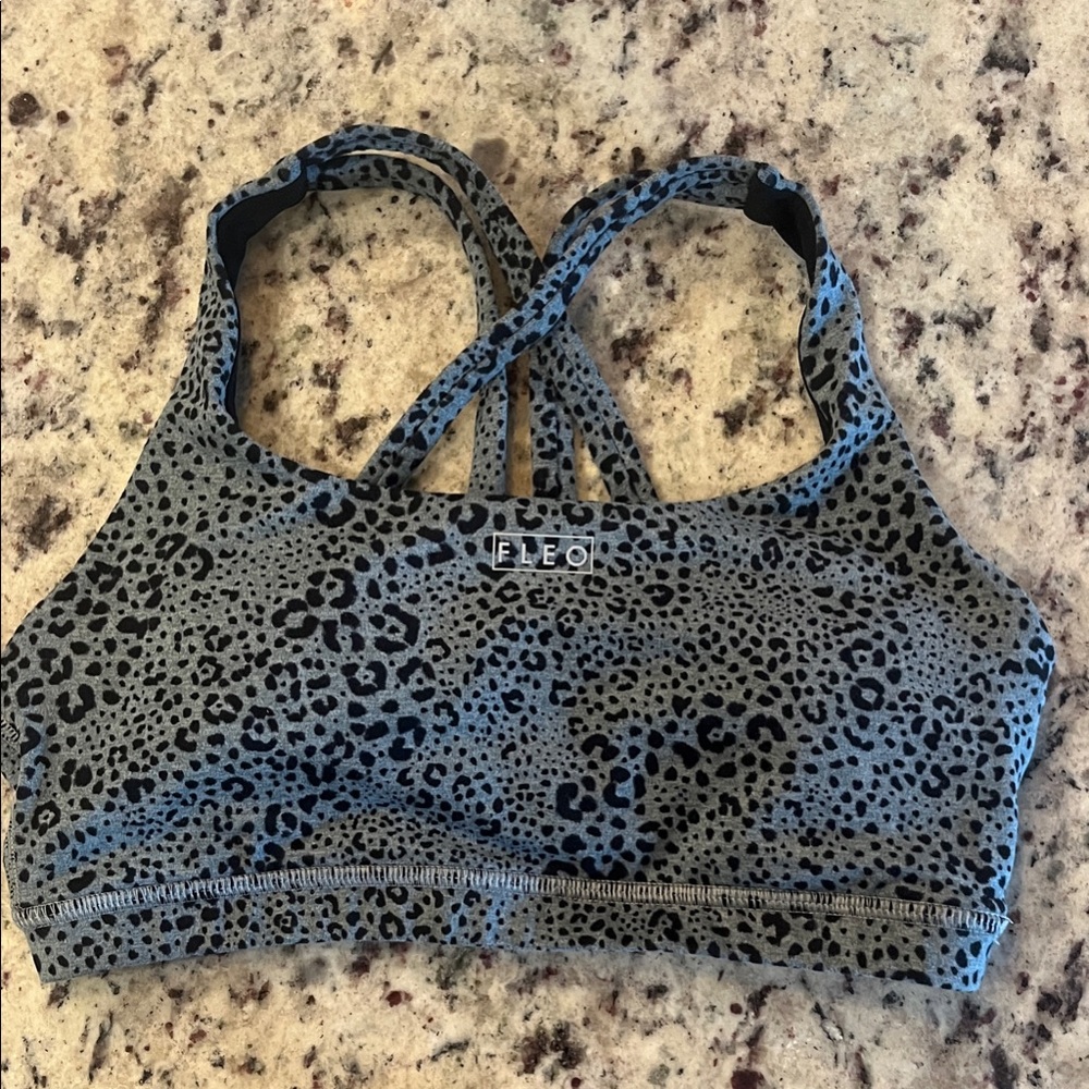 Fleo Leopard Print Isla Sports Bra - Blue and Black